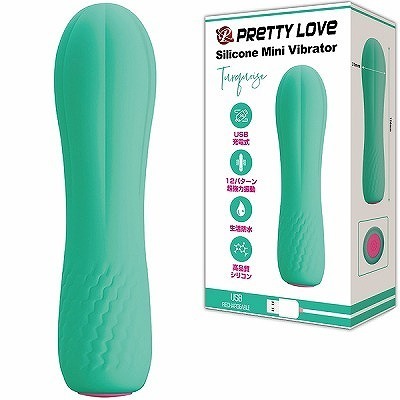 �v���e�B���u�@�i�V���R���~�j�o�C�u���[�^�[�j�@�^�[�R�C�Y�i�o�C�u�i�d���������j�j