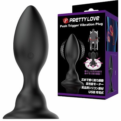 �v���e�B���u�@�i�v�b�V���g���K�[�o�C�u���[�V�����v���O�j�i�A�i���j