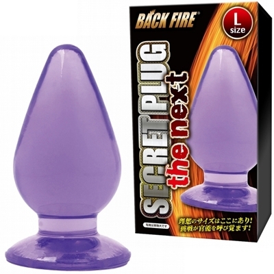 �V�[�N���b�g�v���O�@�U�@�l�N�X�g�@�i�k�j�i�A�i���j