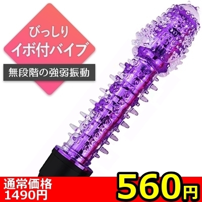 �y�T�U�O�~�����ʌ���z�����ڃX�e�B�b�N�o�C�u�@�u�C�J�������X�^�[�v�@�p�[�v���i���������j