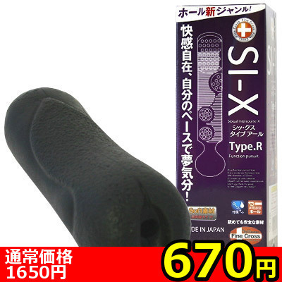 �y�U�V�O�~�����ʌ���z�r�h�|�w�@�s�������D�q�i�V�b�N�X�@�^�C�v�A�[���j������l�l�P�_���聄�i���������j