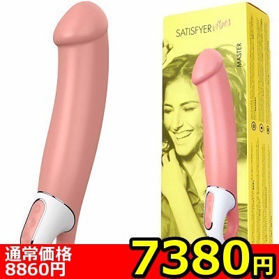 �y�V�R�W�O�~�����ʌ���z�r�����������������@���������i�T�e�B�X�t�@�C���@�o�C�u�j�@�}�X�^�[������l�l�P�_���聄�i���������j