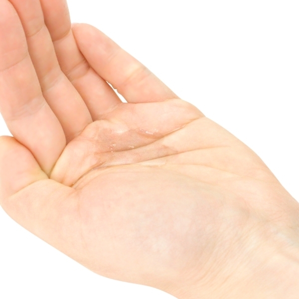 �����������������G�N�X�Z���X�@�}�b�T�[�W�I�C���@�T�O�����@�i�s�j���R���[�_�j