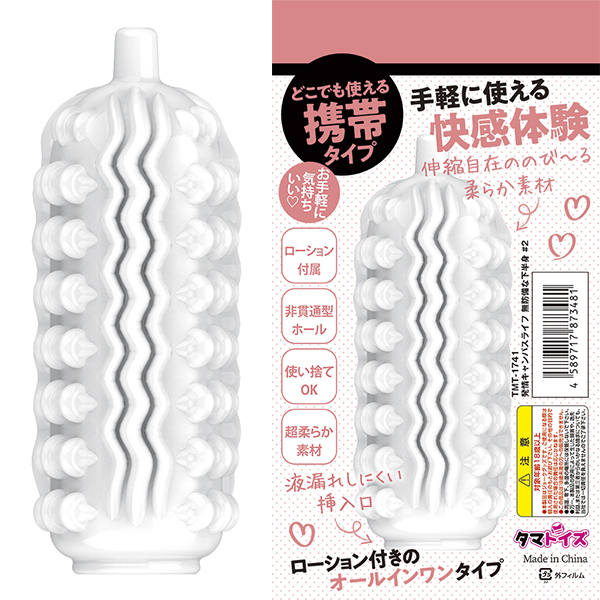 ����L�����p�X���C�t�@���h���ȉ����g�@�i���Q�j