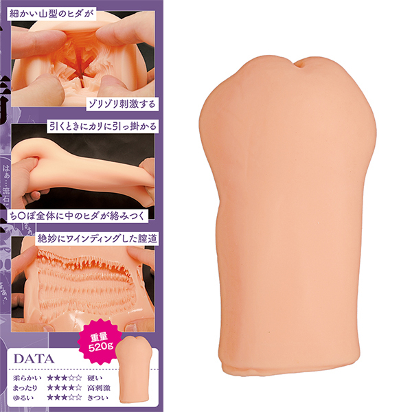 ���o�����͎ː����Ł@�s�g�d�@�g�n�k�d